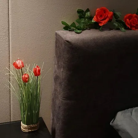 Bed & Breakfast Noviomagus *