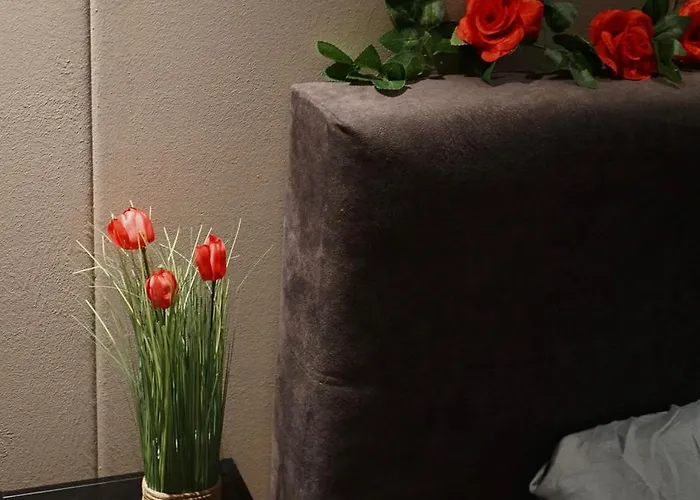 Alojamento de Acomodação e Pequeno-almoço Noviomagus *